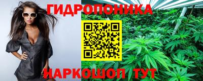 мяу мяу мука Славгород