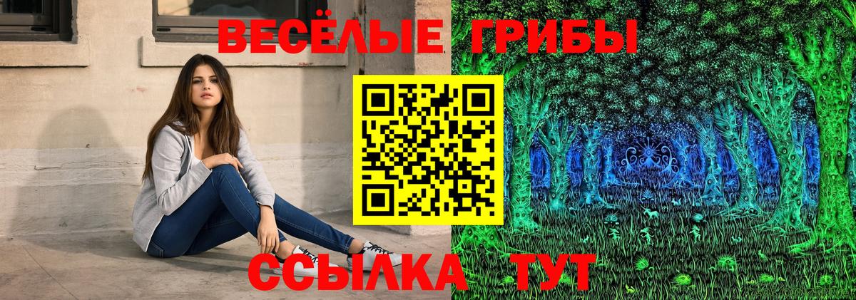 Псилоцибиновые грибы Psilocybe Электрогорск