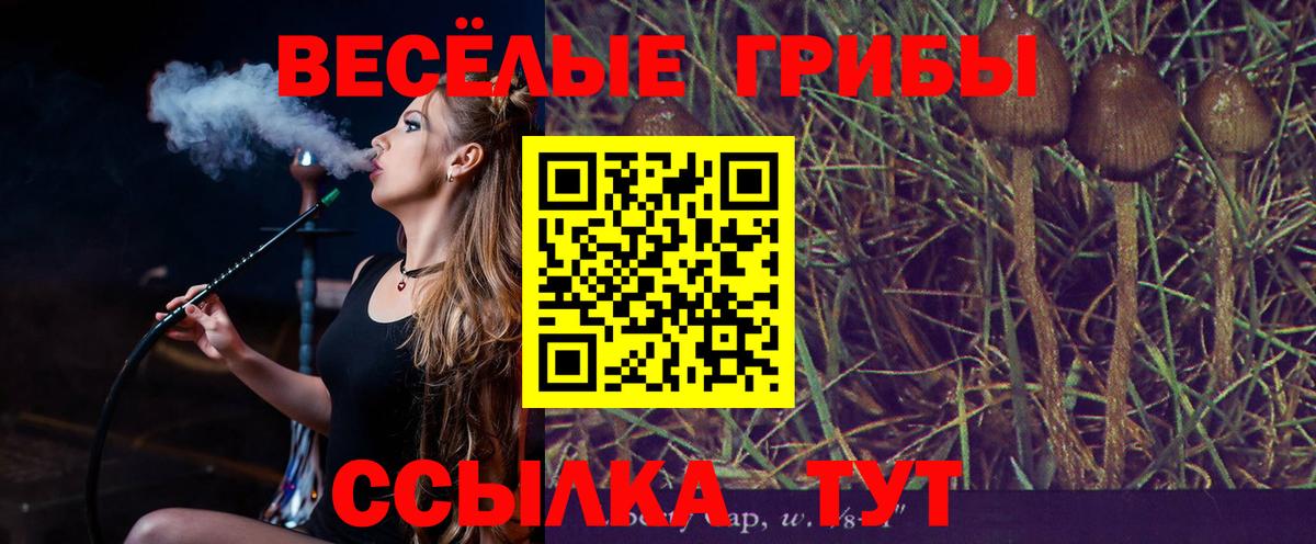Псилоцибиновые грибы Cubensis  Вход с VPN  Галлюциногенные грибы Psilocybine cubensis  наркошоп  Электрогорск 